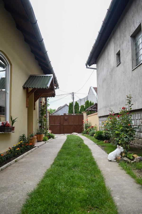 Golden Bis, Subotica Daire Dış mekan fotoğraf